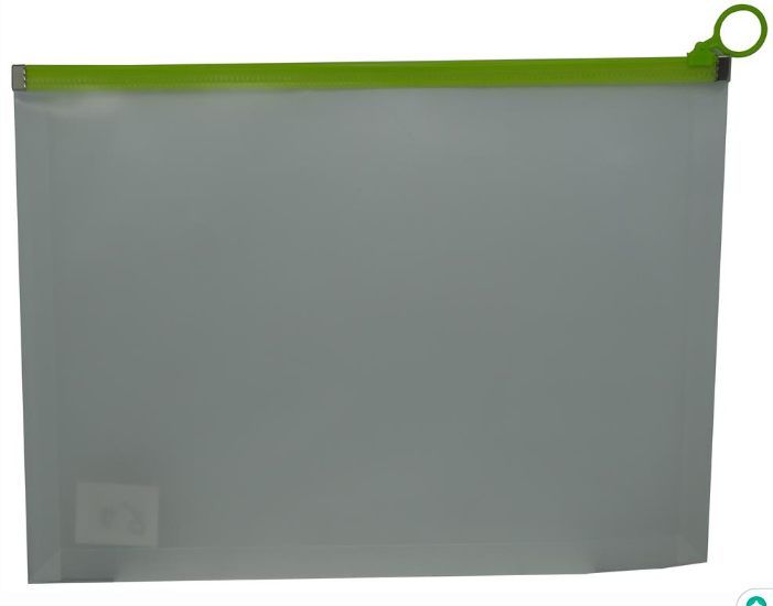 Brainware A4 Clear Carry Folder With Green Easy